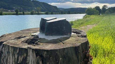 Melania Trump Statue Vanishes in Slovenia