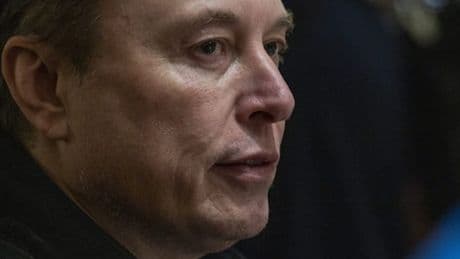 Musk wirbt erneut für AfD – Forscher erwarten deutlichen Rechtsruck bei Kommunalwahlen