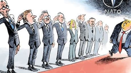 Cartoons im Monat von Chappatte, Thomas Plaßmann, Klaus Stuttmann