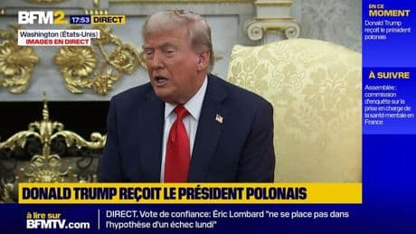 Affaire Jeffrey Epstein: "C'est une farce des démocrates qui ne finit jamais", déclare Donald Trump