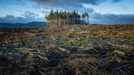 Cambia il clima? Non è colpa dell'Italia