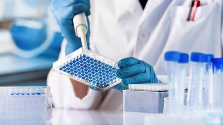 Cancer : une nouvelle molécule capable de détruire des cellules résistantes à la chimiothérapie
