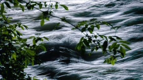 Fall Leon: Die Nacht am Fluss