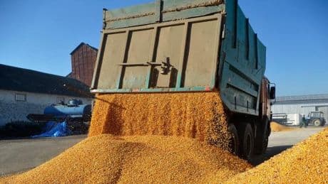 EU lässt nach drei Jahren Zollbefreiung für Ukraine auslaufen
