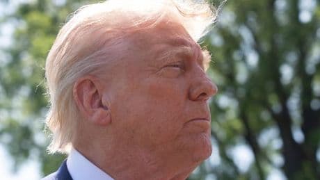 Donald Trump makes grovelling explanation amid U-turn on 25% tariffs for cars