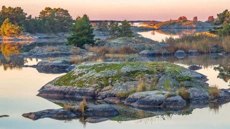 En Suède, pourquoi ce nouveau parc national marin est-il si protégé ?
