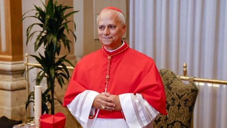 ¿Cree que el Cónclave acierta con la elección de Robert Prevost como el Papa León XIV?