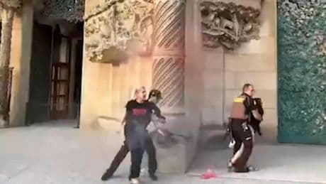 Activistas de Futuro Vegetal lanzan tinte contra la Sagrada Familia por la "complicidad" de los políticos en los incendios