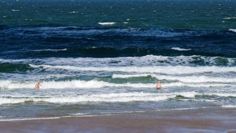 Extreme Hitzetage - Nordsee-Temperatur in diesem Jahr auf Rekordkurs