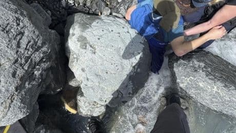 Un hombre sobrevive tras tres horas atrapado por una roca de 317 kilos en Alaska