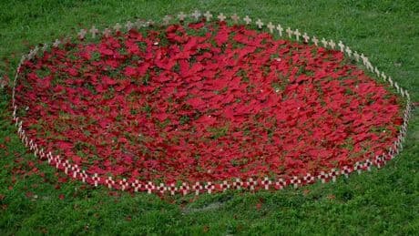Hundreds pay respects to 20,000 Brit soldiers killed on first day of Battle of the Somme