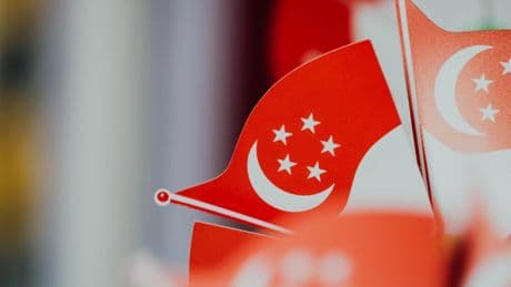 Singapur seçimlerini iktidardaki Halkın Eylem Partisi kazandı