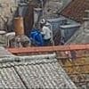 CCTV released after baby seagulls attacked and killed with an umbrella