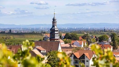Merz lädt Trump in die Pfalz ein: „Die Leute kommen nicht wegen Trump und nicht wegen Heinz nach Kallstadt“
