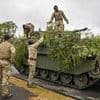 Dogs of gnaw! Army turns down recruits because of their TEETH