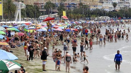 Verano amargo