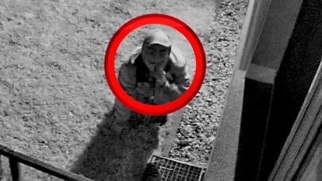 Wo ist Fridolin? - Kriechender Dieb klaut Kult-Schildkröte