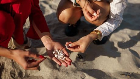 Las conchas marinas no son un ‘souvenir’: los científicos explican por qué es mejor dejarlas en la playa