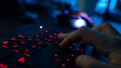 Schäden bis zu 10.000 Euro: Viele Verbraucher fallen auf Fake-Shops im Internet herein
