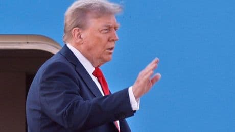 Donald Trump branded a ‘baby with a hand grenade in shop specialising in glass’