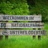 Umwelt: Junior-Ranger schlagen Zelte am Nationalpark auf