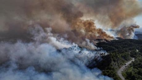 En Syrie, des incendies brûlent 10 000 hectares dans la province de Lattaquié
