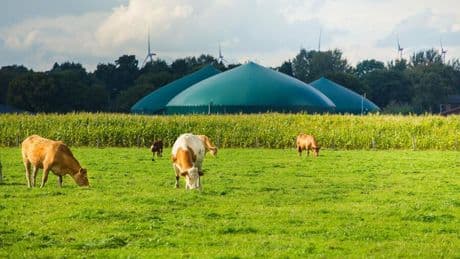 Energie: Vom Auslaufmodell zum Stabilisator: Warum Biogas auf einmal wieder gefragt ist