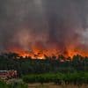 Incendie meurtrier dans l'Aude : l'arrachage des vignes est-il responsable de la progression fulgurante des flammes ?