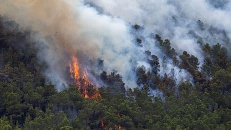 Europe wildfires map: Where summer fires have struck from France and Spain to Greece