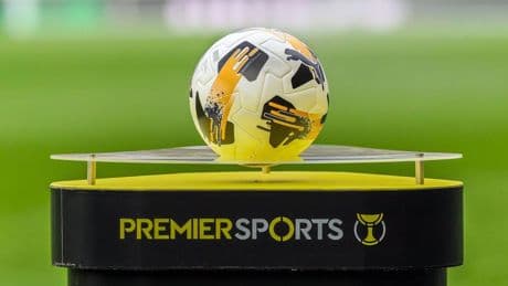 Sky TV customers finally receive access to FOUR major sports channels including football after years of waiting