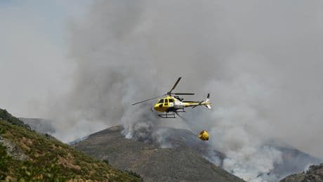 Un bombero muerto en León eleva a cuatro las víctimas mortales de la oleada de incendios