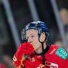 Eishockey: Ex-Nationalspieler Gogulla hilft in der 2. Liga aus