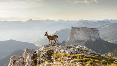 Randonnée : sur les Hauts Plateaux du Vercors, trois jours en immersion dans une nature sauvage