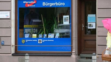 Demokratie: SPD und Union scheuen einen AfD-Verbotsantrag – und schwächen sich dadurch selbst