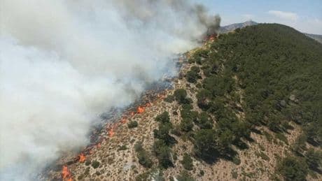 Logran perimetrar el incendio de Villena que se ha extendido parcialmente a Almansa