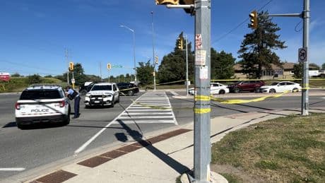 Woman dead after being hit by pickup truck in Brampton