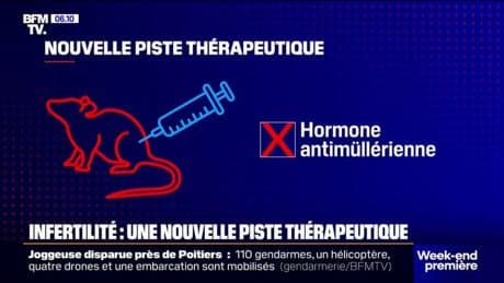 Une nouvelle piste de traitement thérapeutique pour lutter contre le SOPK, l'une des principales causes d'infertilité féminine
