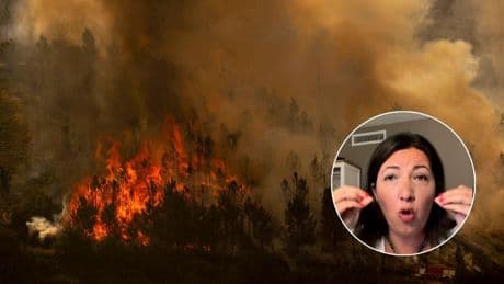 Una psicóloga estalla contra los pirómanos de los incendios en España: "Lo viven tan cerca que fallecen en su propio fuego"