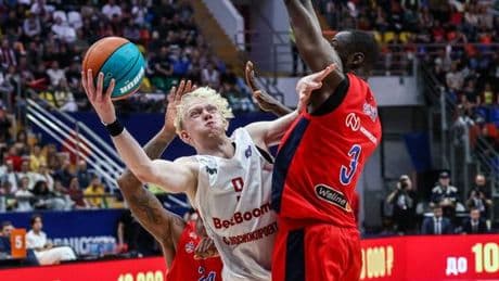 Piraterie informatique : un basketteur russe arrêté et placé en détention en France, à la demande des Etats-Unis