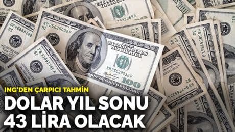 ING'den çarpıcı tahmin: Dolar yıl sonu 43 lira olacak