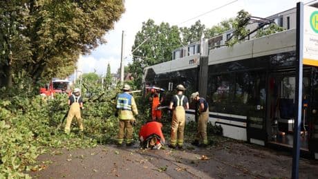 Unwetter: Starkregen setzt Straßen in Hessen und Bayern unter Wasser