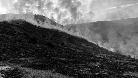 Tecnología contra los incendios: lecciones de un verano que ya huele a humo