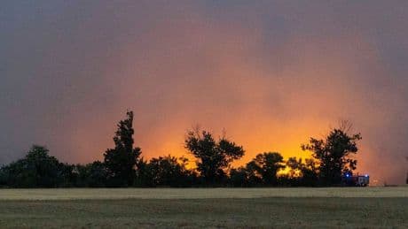 Sachsen und Brandenburg: Waldbrand in Gohrischheide - Evakuierung in weiterem Ort