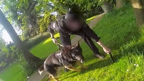 Man jailed after stabbing neighbour and 'hunting down police' with crossbow