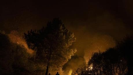 Waldbrände in Europa: Zahl der Toten durch Waldbrände in Südeuropa steigt weiter