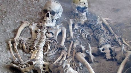 ‘Game of Thrones-style families’ behind 2,000-year-old Dorset massacre