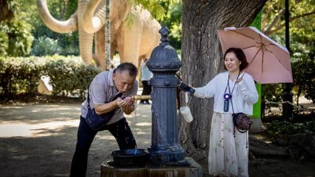 Las olas de calor de este verano ya son responsables de 1.783 muertes