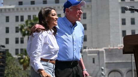 Democrat voters who sat out last election want candidates further to the left - like AOC and Bernie Sanders, new poll finds