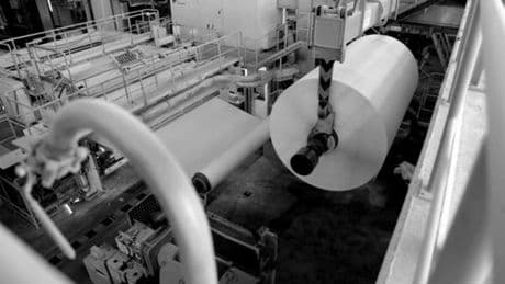 La innovación como columna vertebral para el impulso de la industria papelera