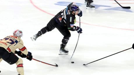 Eishockey | Die Eisbären Berlin jagen gegen Köln ihren elften DEL-Titel